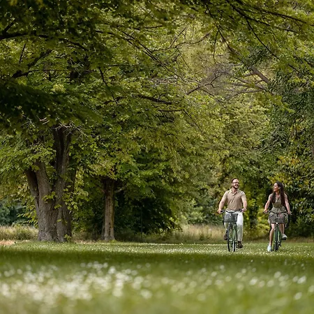 Отель Apollo Terme Монтегротто-Терме